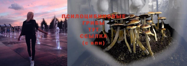 шишки Алексеевка