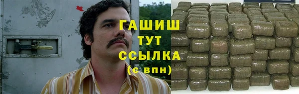 прущий лед Алзамай