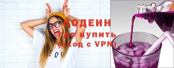 прущий лед Алзамай