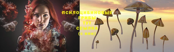 шишки Алексеевка