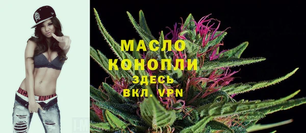 прущий лед Алзамай