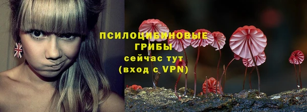 шишки Алексеевка
