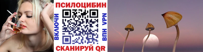 купить   mega как войти  Псилоцибиновые грибы Cubensis  Жиздра 