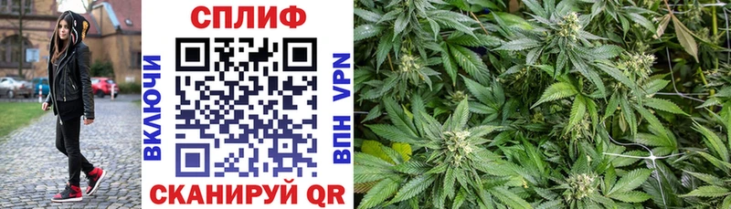 Канабис White Widow  маркетплейс как зайти  Жиздра  наркота 